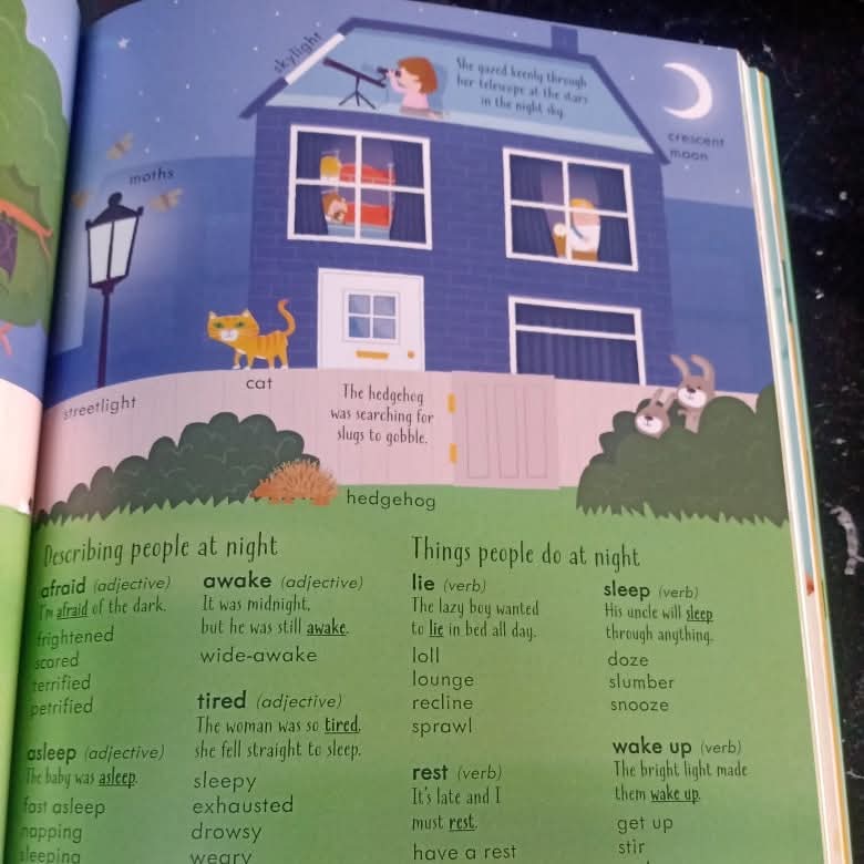 Usborne Junior Illustrated Thesaurus
