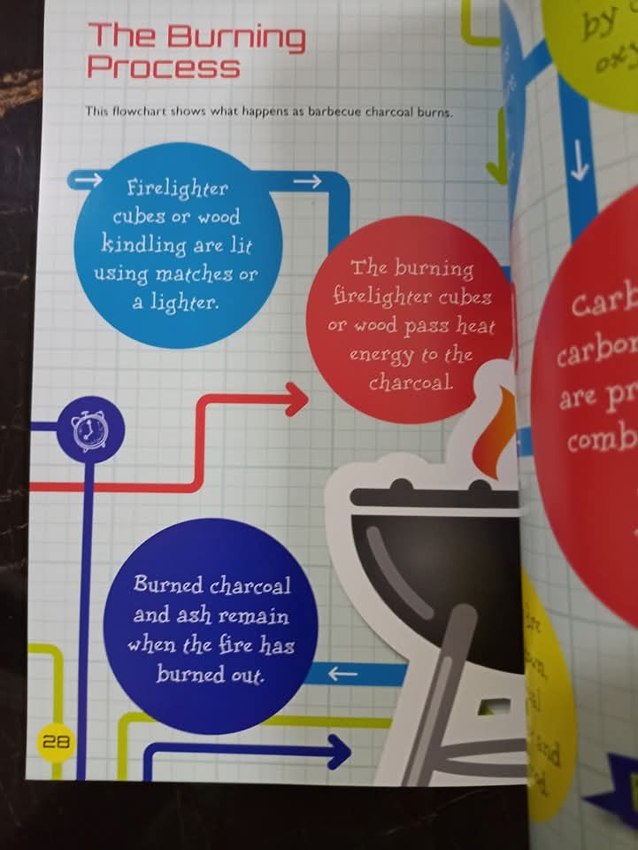 FLOWCHART EXPLORER PHYSICAL SCIENCE SET