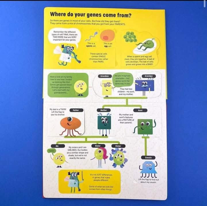 Usborne See Inside Genes and DNA🧬🦠