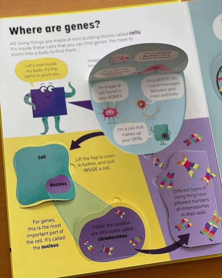 Usborne See Inside Genes and DNA🧬🦠