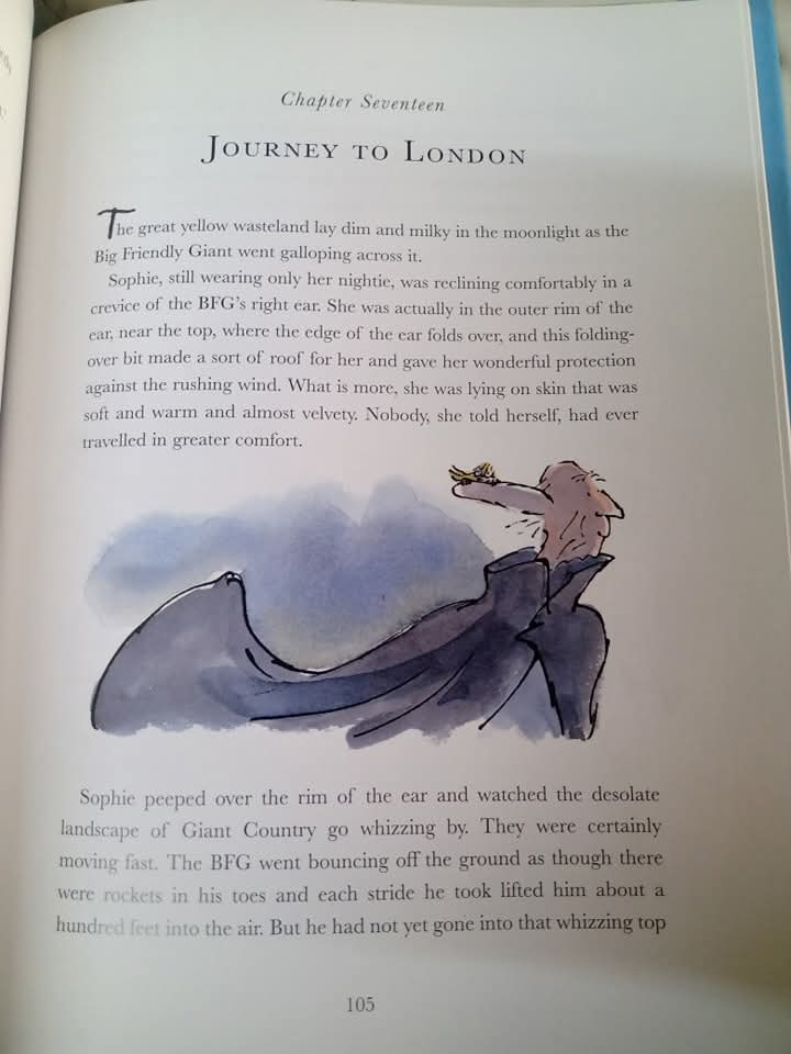 Roald Dahl The BFG