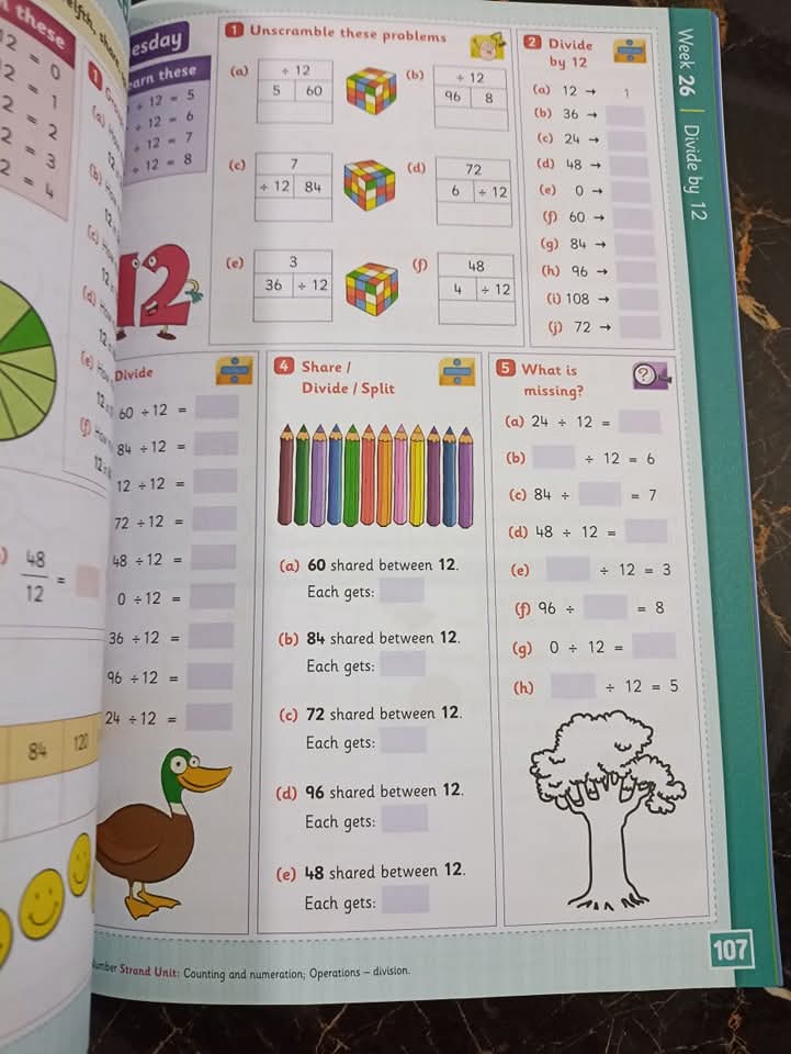 TABLES EXPERT (C)
