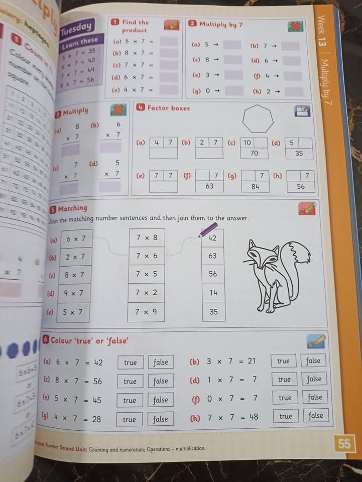 TABLES EXPERT (C)