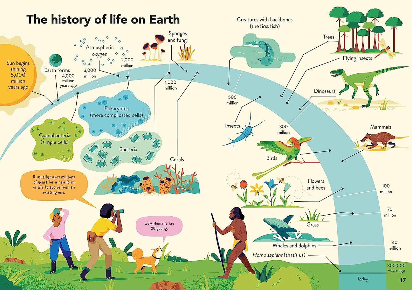 ECOLOGY FOR BEGINNERS