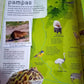 DK CHILDREN'S ILLUSTRATED ANIMAL ATLAS