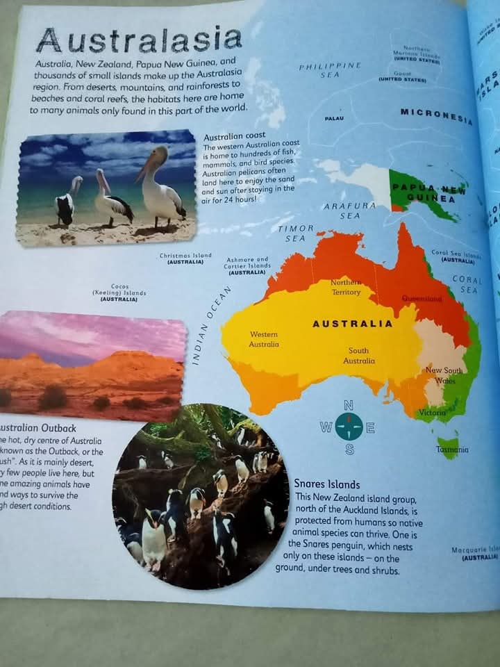 DK CHILDREN'S ILLUSTRATED ANIMAL ATLAS