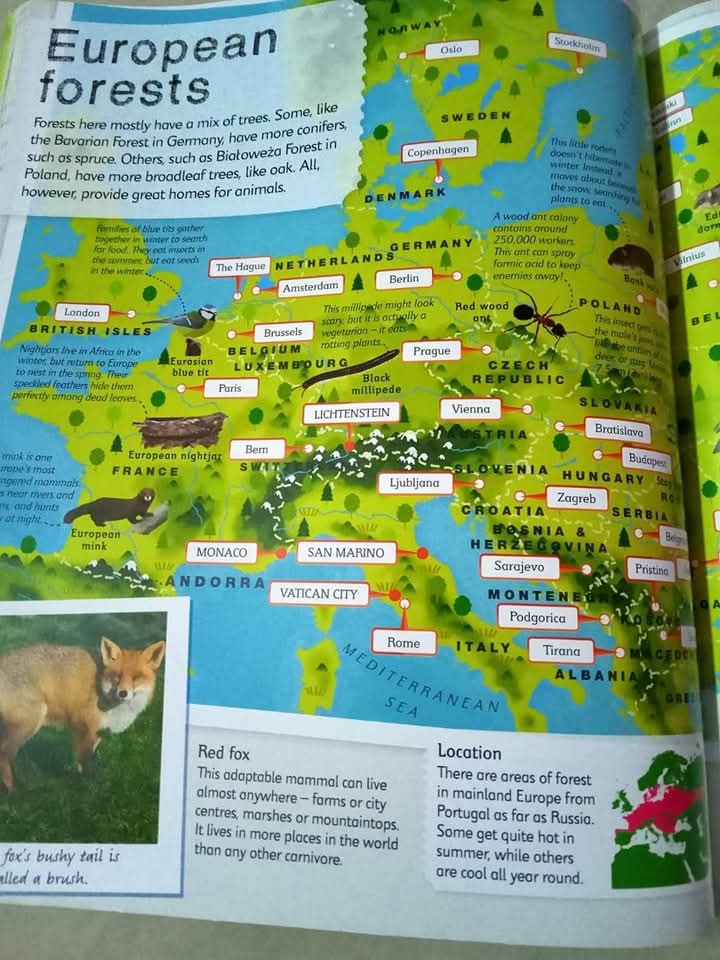 DK CHILDREN'S ILLUSTRATED ANIMAL ATLAS