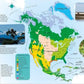 DK CHILDREN'S ILLUSTRATED ANIMAL ATLAS