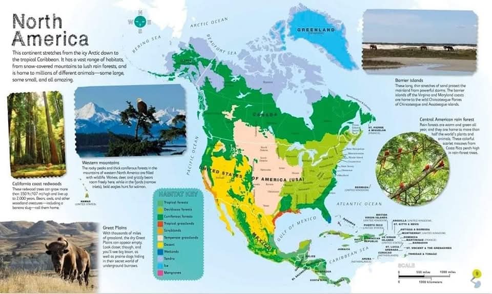 DK CHILDREN'S ILLUSTRATED ANIMAL ATLAS