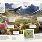 DK CHILDREN'S ILLUSTRATED ANIMAL ATLAS
