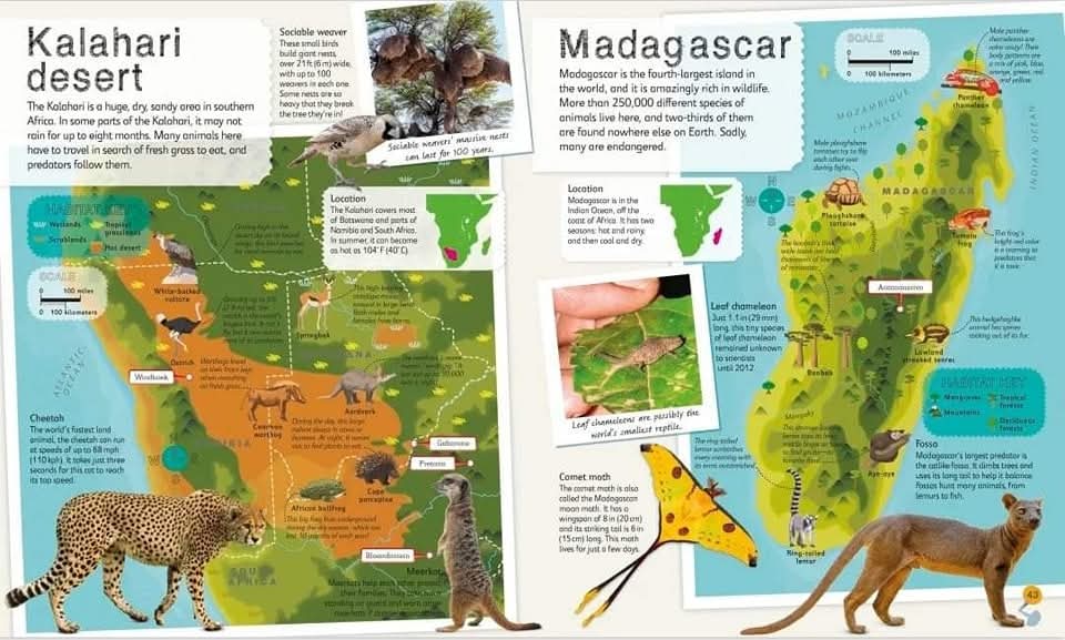 DK CHILDREN'S ILLUSTRATED ANIMAL ATLAS