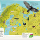 DK CHILDREN'S ILLUSTRATED ANIMAL ATLAS