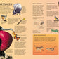 USBORNE THE SCIENCE ENCYCLOPEDIA