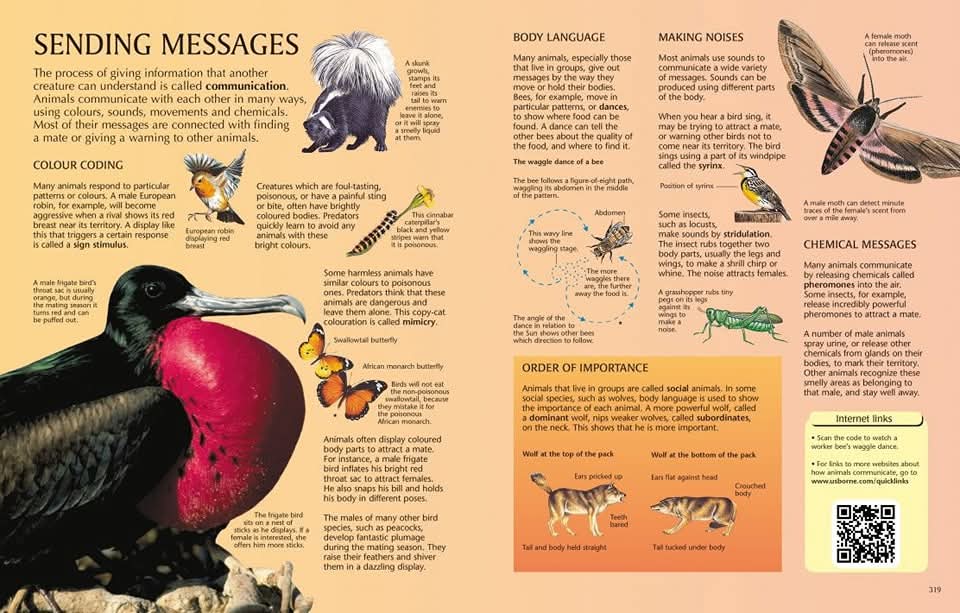 USBORNE THE SCIENCE ENCYCLOPEDIA