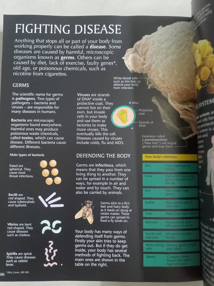USBORNE THE SCIENCE ENCYCLOPEDIA