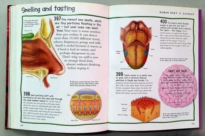 Miles Kelly Over 1000 Fantastic facts