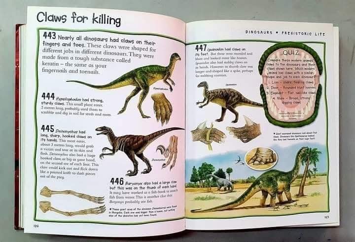Miles Kelly Over 1000 Fantastic facts