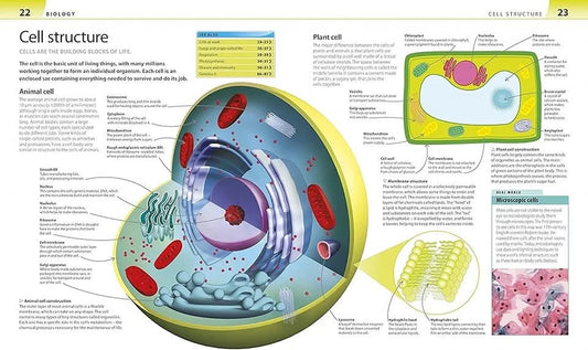 HELP YOUR KID WITH SCIENCE