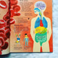 FIRST ENCYCLOPEDIA OF HUMAN BODY