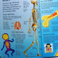 FIRST ENCYCLOPEDIA OF HUMAN BODY