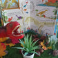 Usborne lift the flap questions and answers about dinosaurs