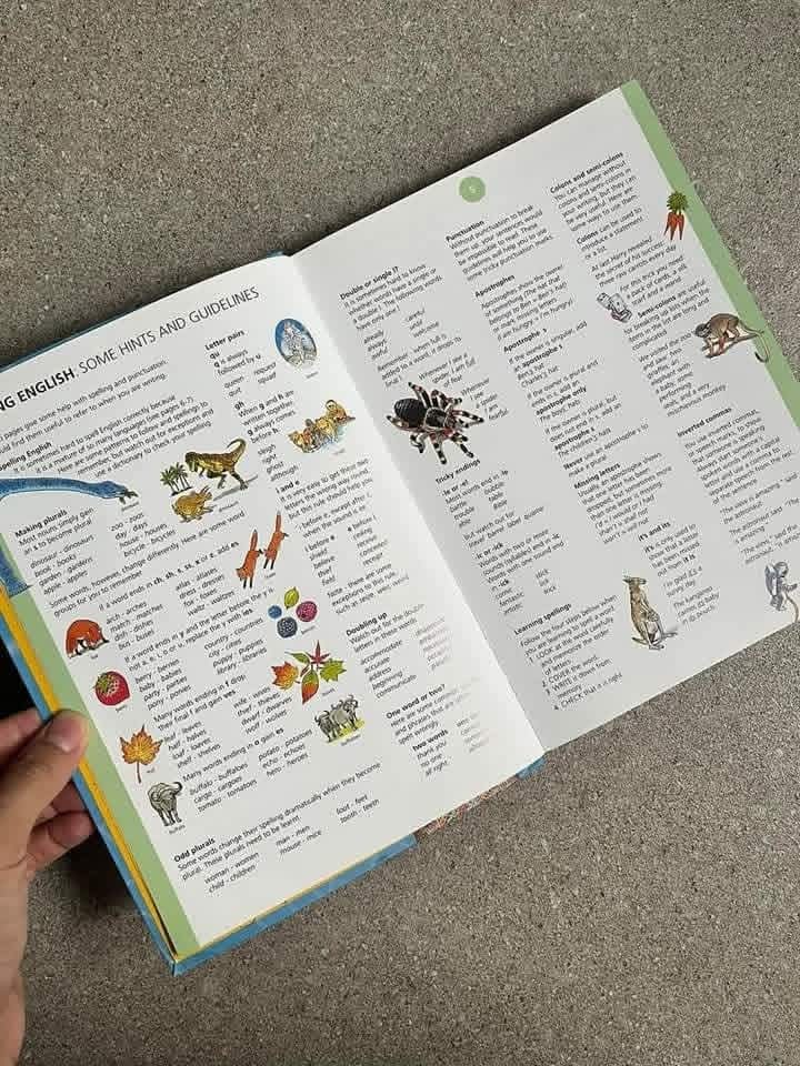 USBORNE ILLUSTRATED ENGLISH DICTIONARY