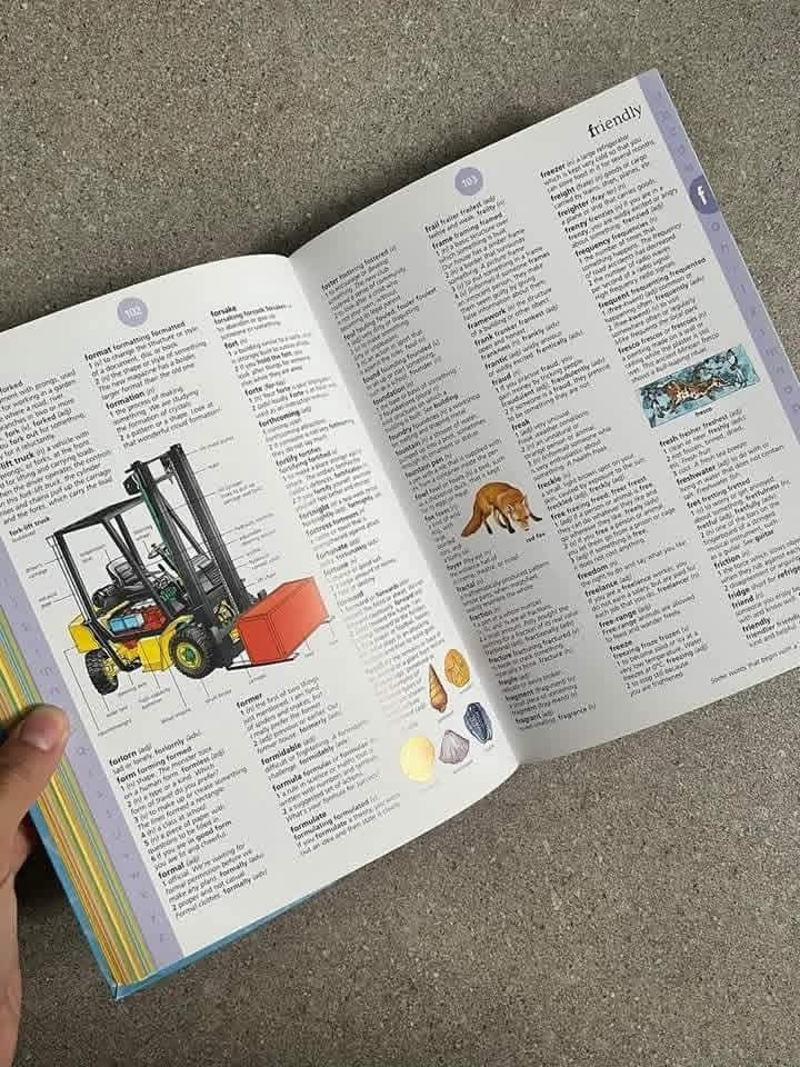 USBORNE ILLUSTRATED ENGLISH DICTIONARY