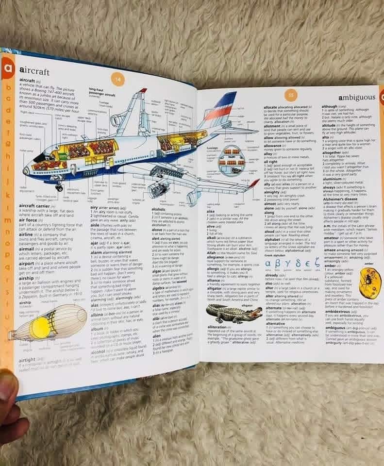 USBORNE ILLUSTRATED ENGLISH DICTIONARY