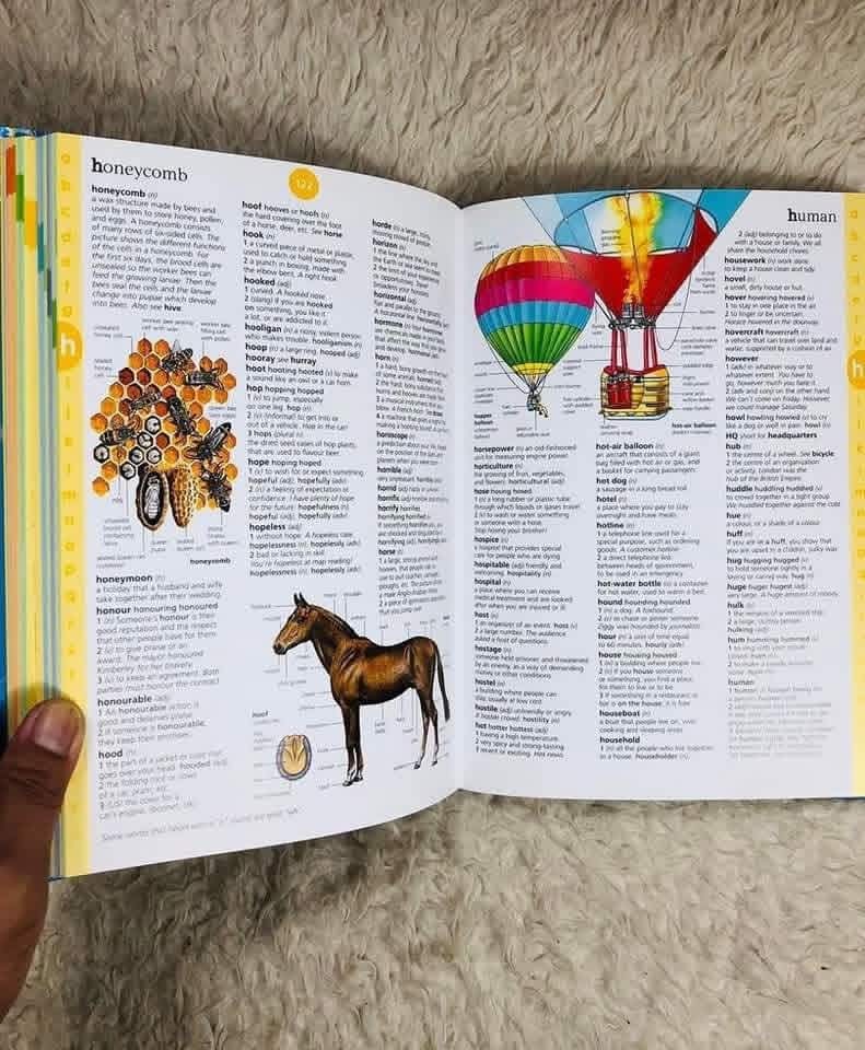 USBORNE ILLUSTRATED ENGLISH DICTIONARY