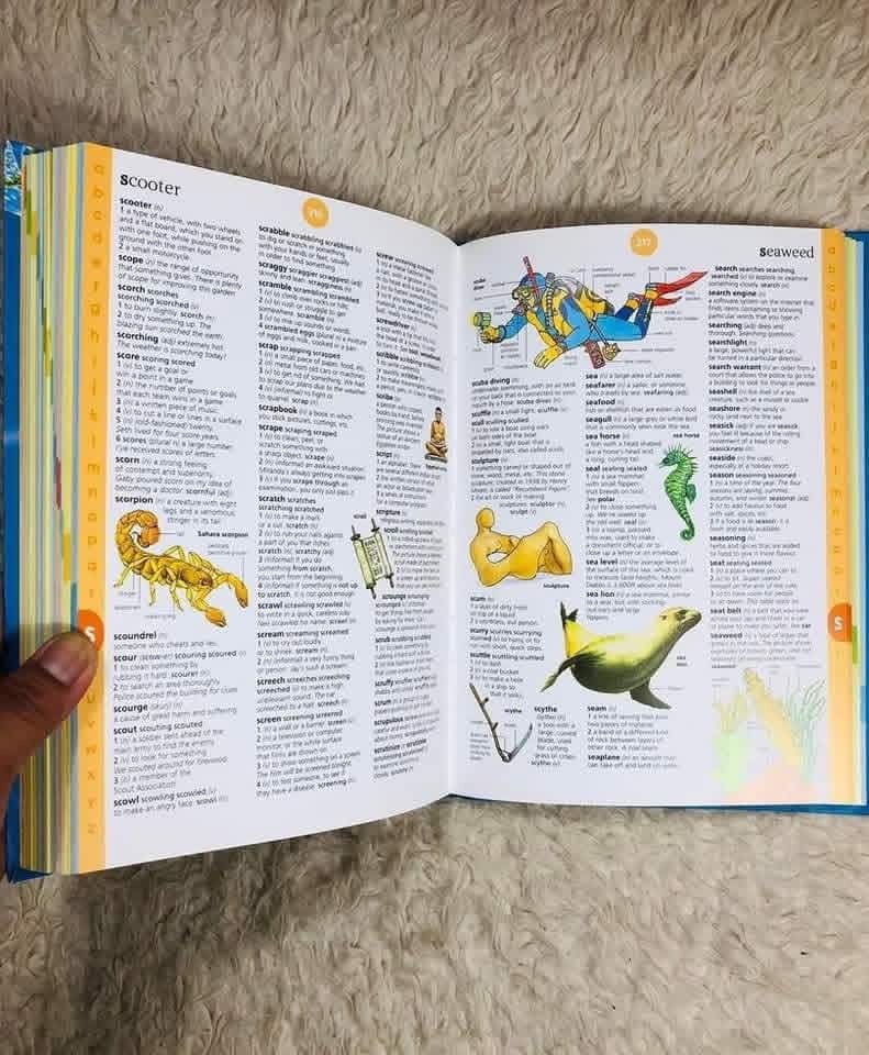 USBORNE ILLUSTRATED ENGLISH DICTIONARY