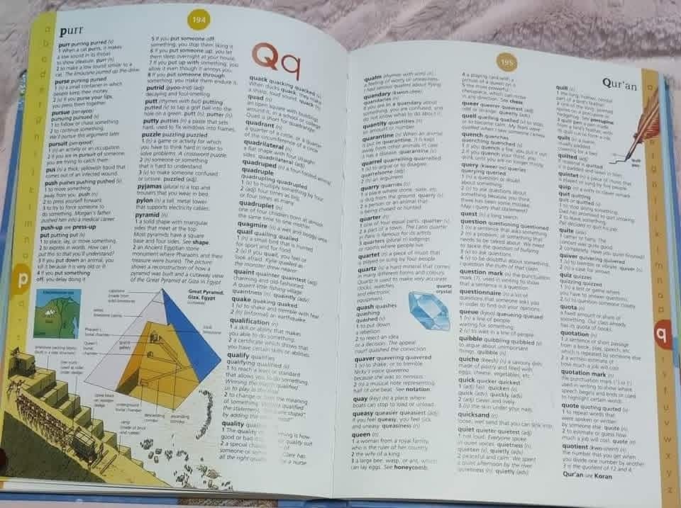 USBORNE ILLUSTRATED ENGLISH DICTIONARY