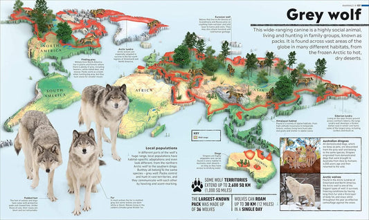 WHAT'S WHERE ON EARTH?ANIMAL ATALS