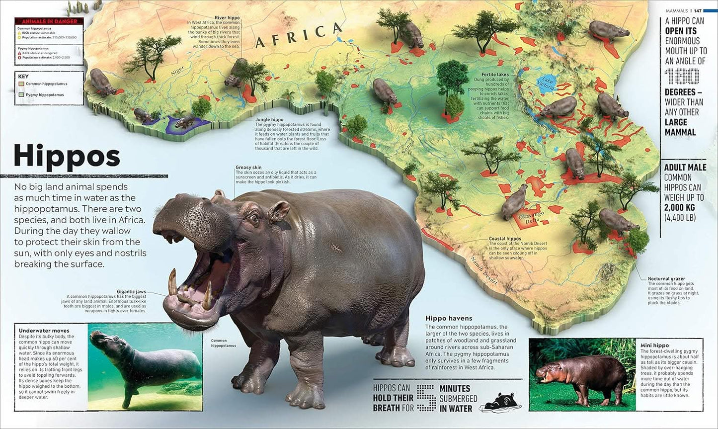 WHAT'S WHERE ON EARTH?ANIMAL ATALS