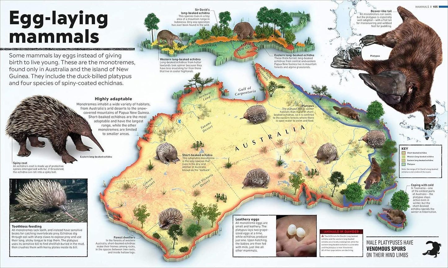 WHAT'S WHERE ON EARTH?ANIMAL ATALS