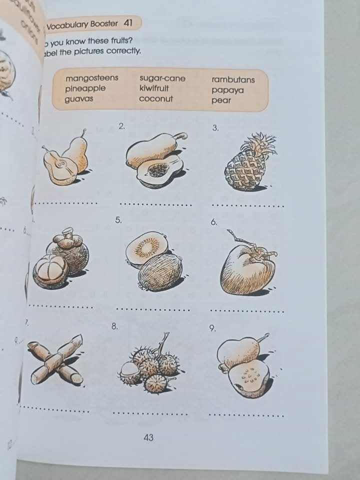 VOCABULARY BOOSTER  PRIMARY 2