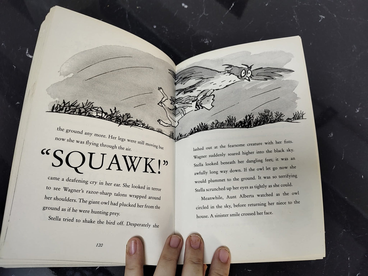 David Williams Awful Auntie