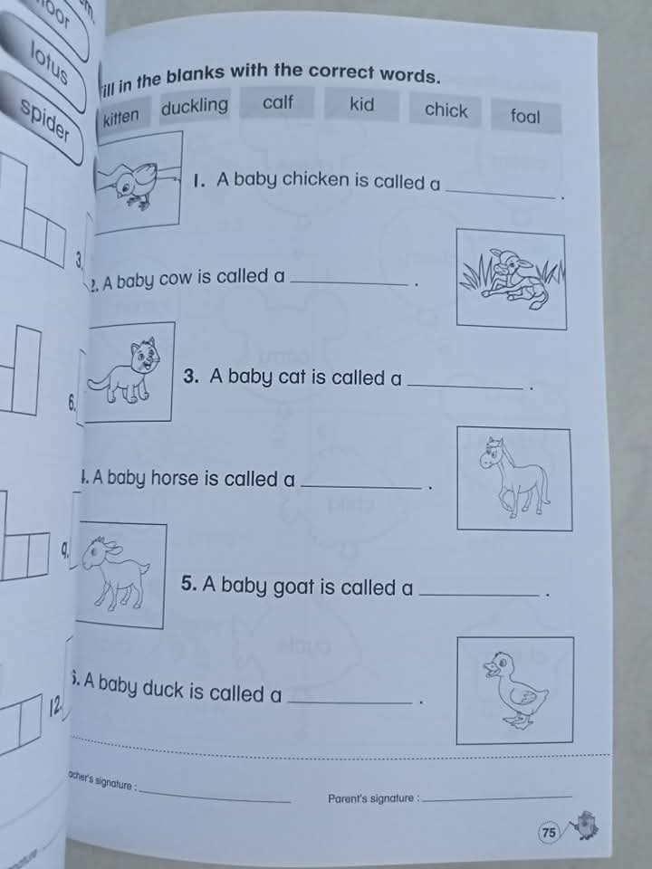 ENGLISH ACTIVITY FOR PRESCHOOLERS