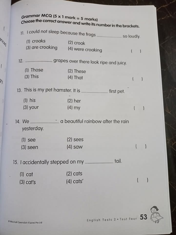 MY PALS ARE HERE(ENGLISH TEST 2)