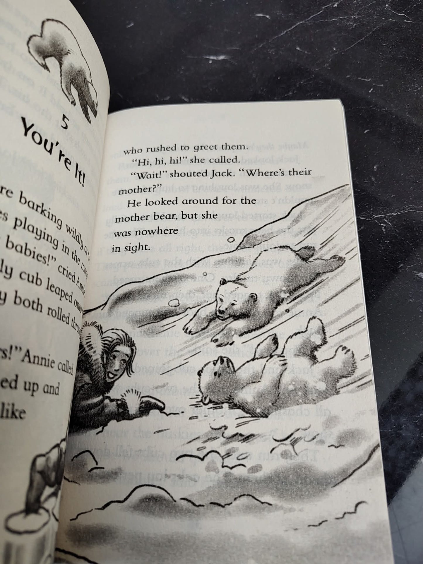 Magic Treehouse by Mary Pope