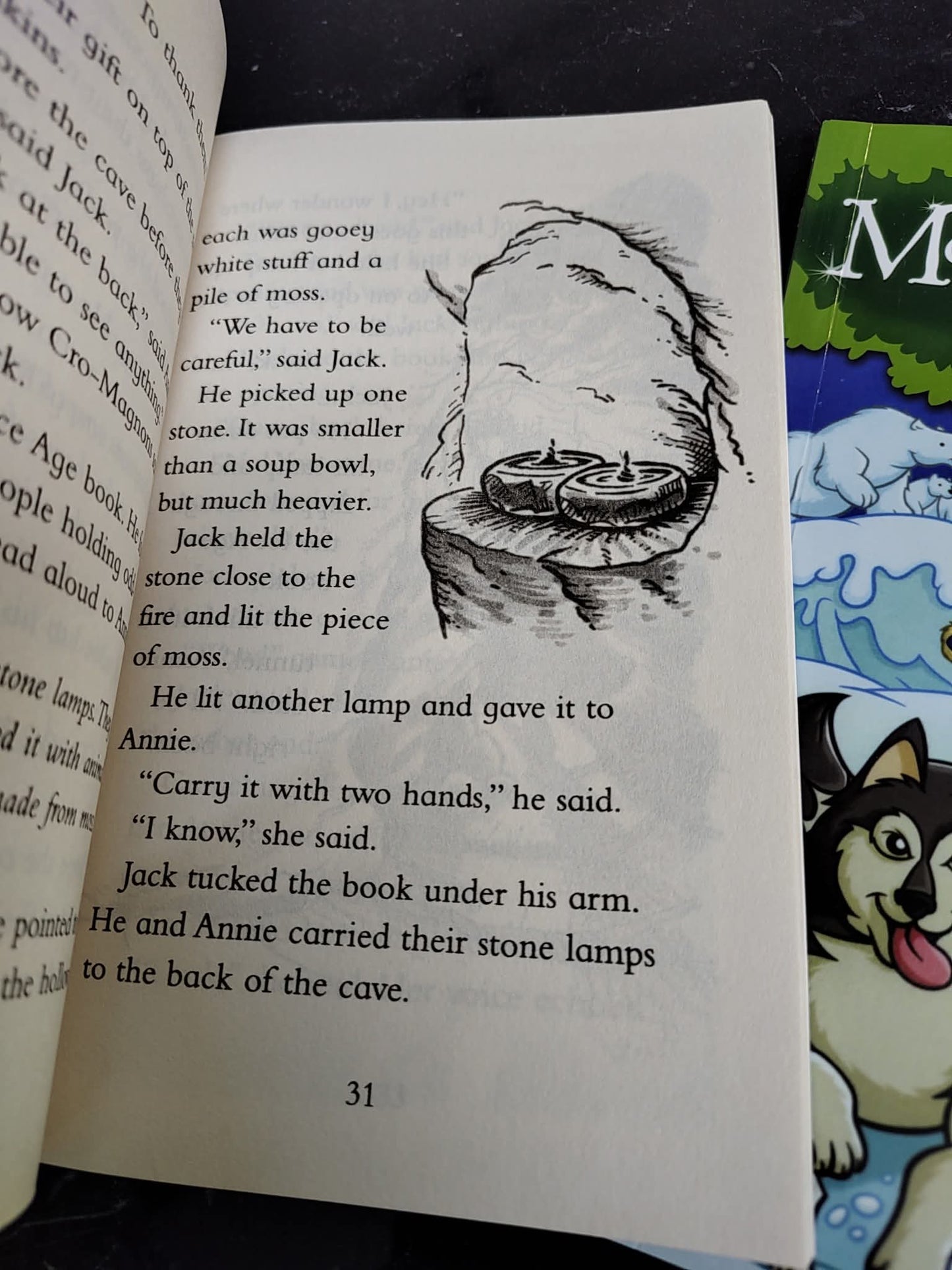 Magic Treehouse by Mary Pope