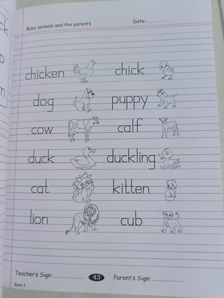 MASTER MIND LVL 3 ENGLISH COPY