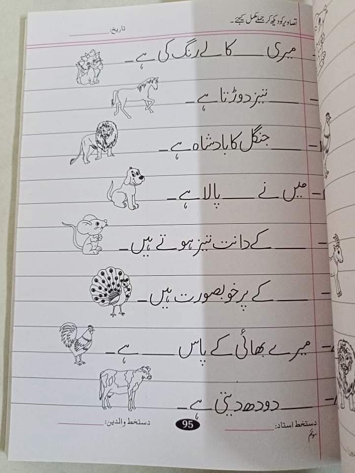 MASTER MIND LVL 3 URDU COPY