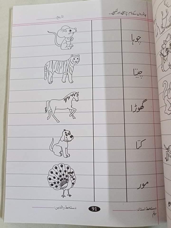MASTER MIND LVL 3 URDU COPY