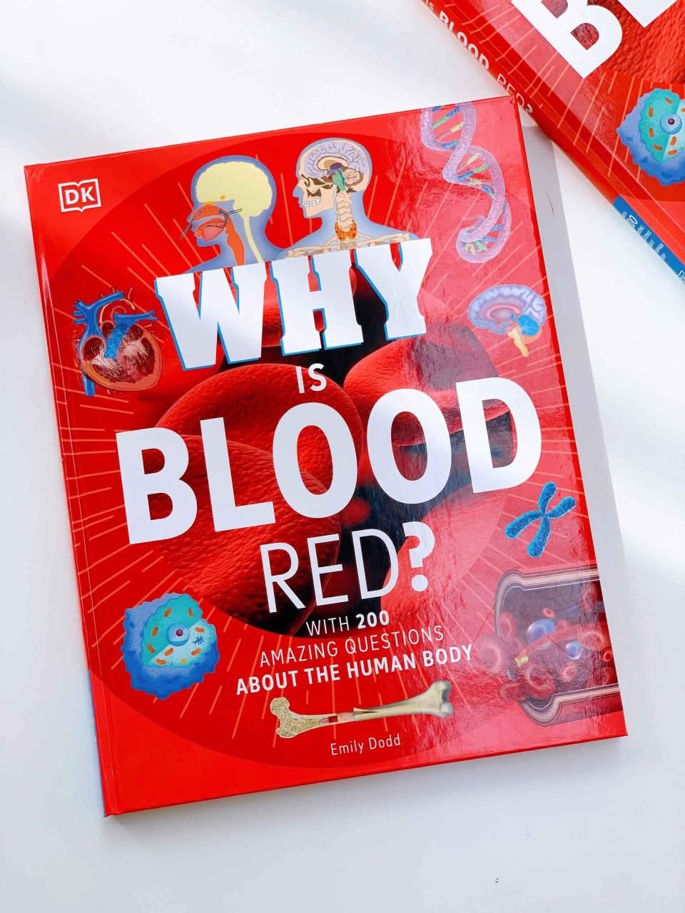 WHY BLOOD IS RED?
