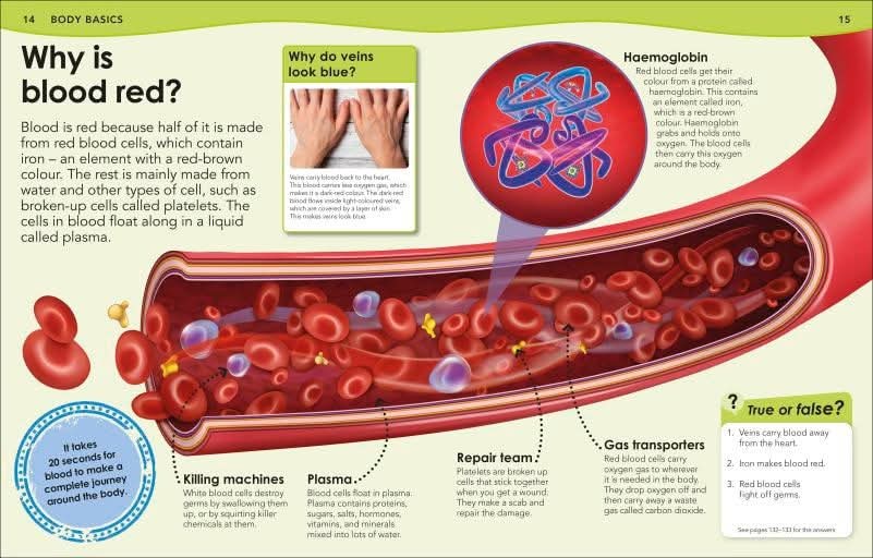 WHY BLOOD IS RED?
