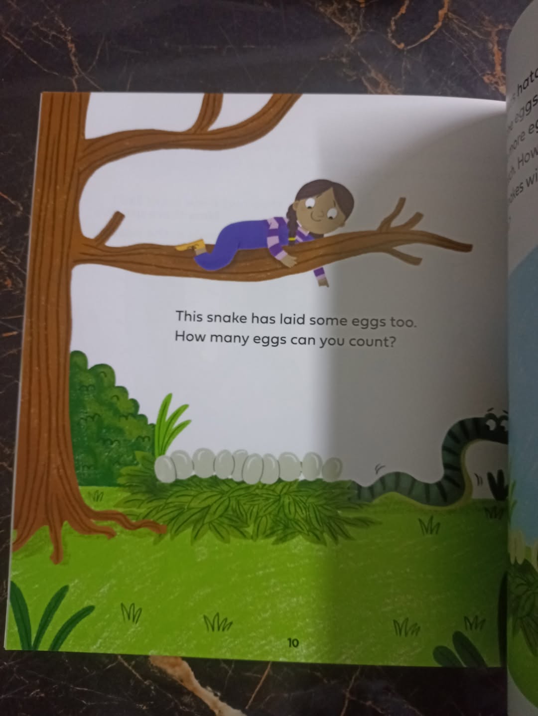 HOW MANY CHICKENS YOU CAN COUNT(A Book About Addition)?