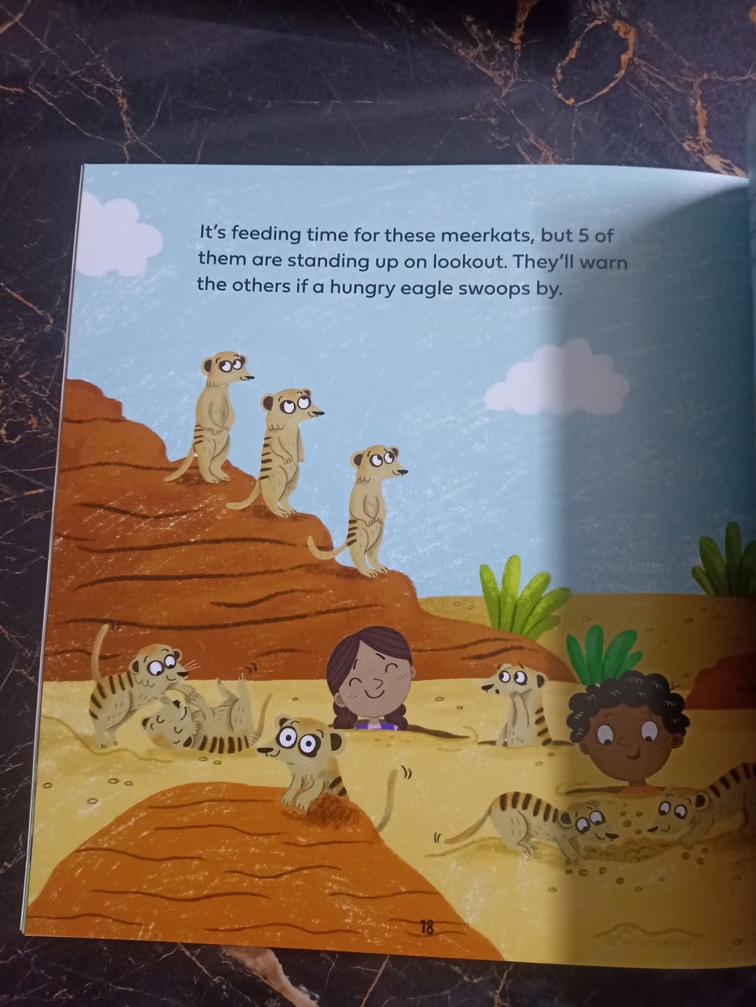 HOW MANY CHICKENS YOU CAN COUNT(A Book About Addition)?