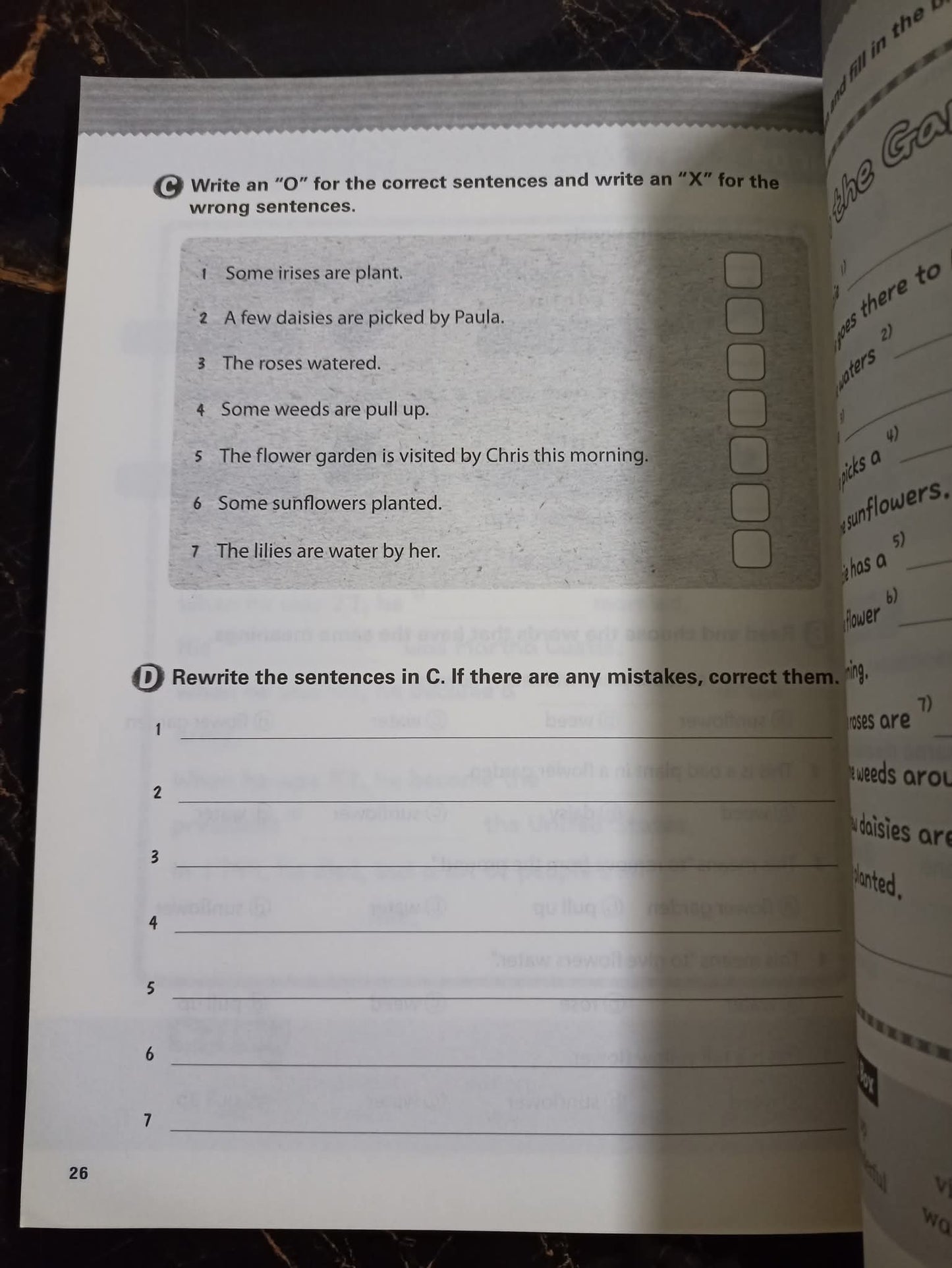 WINNER'S READING AND WRITING 5