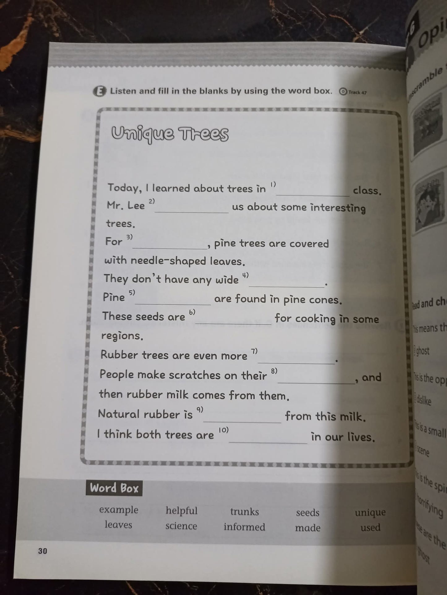 WINNER'S READING AND WRITING 5