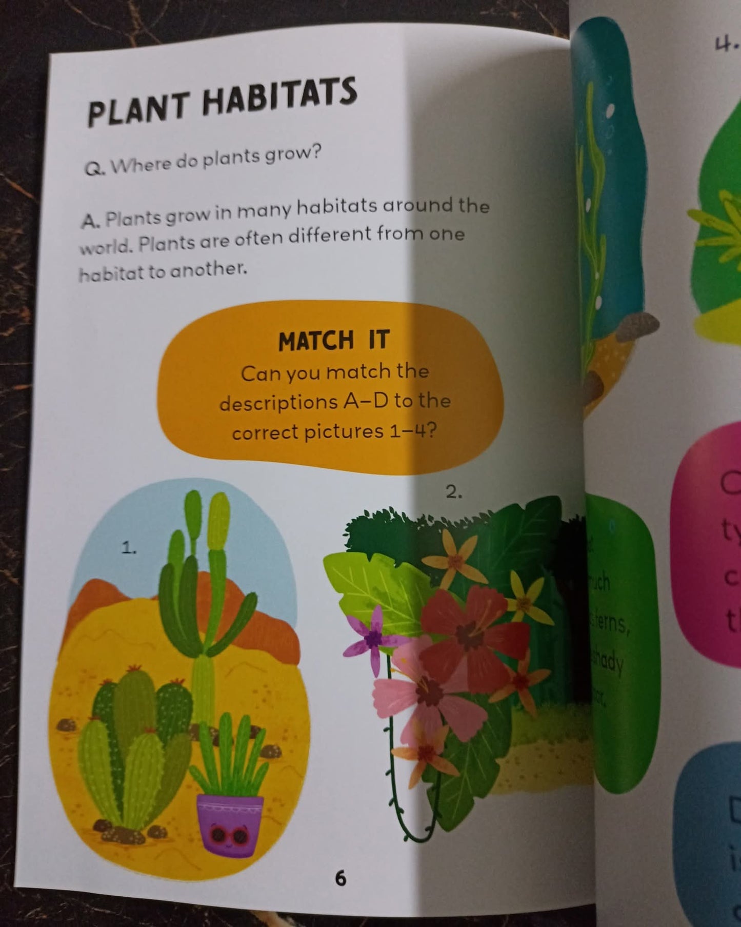 Q/A KIDS (PLANTS)